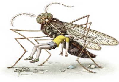 Myths about mosquitoes and malaria