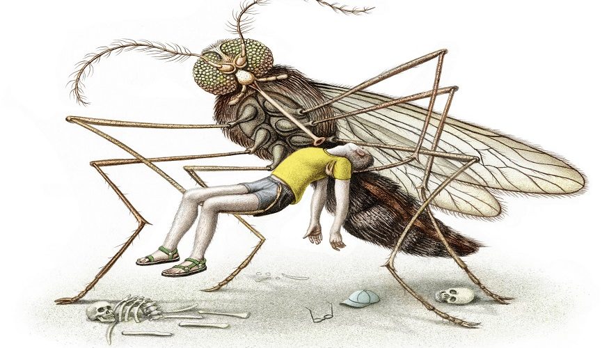 Myths about mosquitoes and malaria