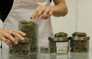 Selecting The Best Medical Marijuana Dispensary