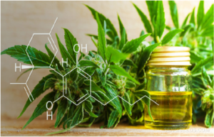 What are the benefits of buying CBD oil