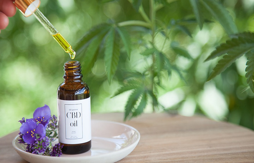 Key Factors In Choosing A CBD Wholesale Distributor